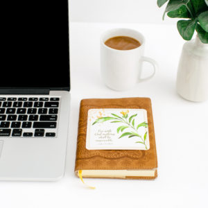 Playfully, Faithful Mama Coaching Call